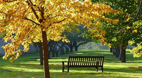 Homerton College, Cambridge 1