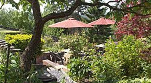 Bron-y-Graig B&B, Near Bala, North Wales 3