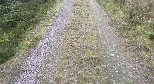 E Mountain Bike Hire 2