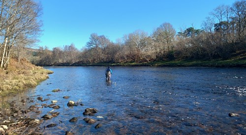 Glendoe Estate - River Oich, Oich / Garry