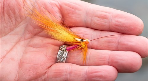 Forres Angling Association, Lower Findhorn 1