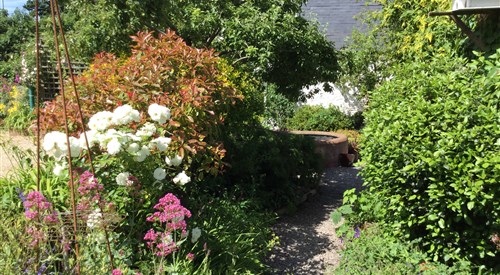 Steps Farmhouse, Watchet 2