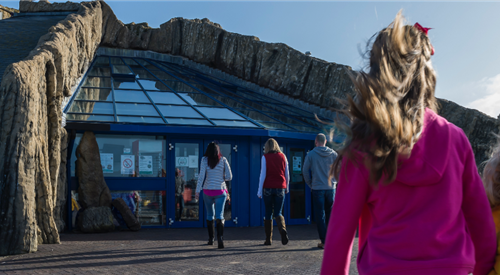 Macduff Marine Aquarium 1