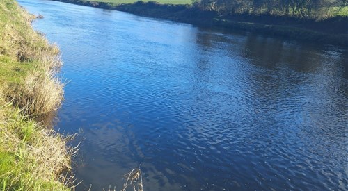 Blackwater Valley Fishery - Blackstone, Upper Blackwater 2