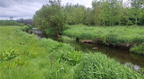Macosquin River, Coleraine 4