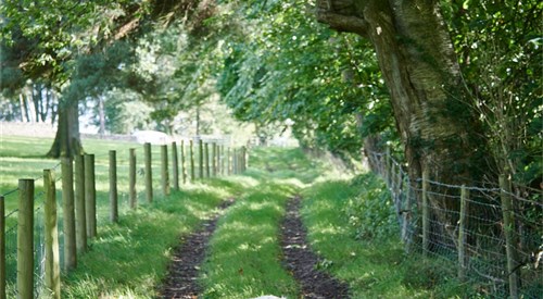 Newlands Farm Stables, Kendal 3