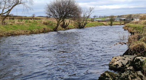 Carrick Angling Club, Girvan 3