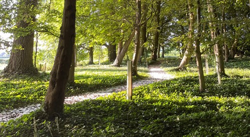 The Green, Trowbridge 1