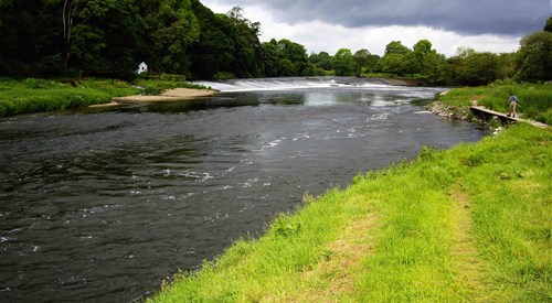 Careysville Fishery, Blackwater 1