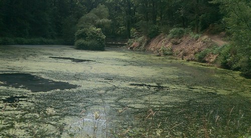 Great Trethew Manor Hotel & Restaurant, West Looe 2