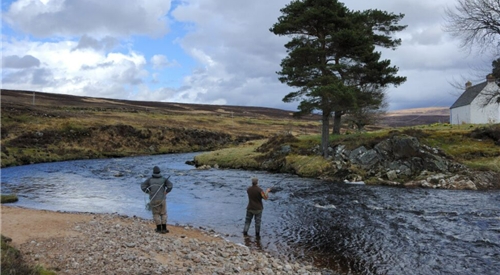 Helmsdale - Suisgill Estate, Far North 2