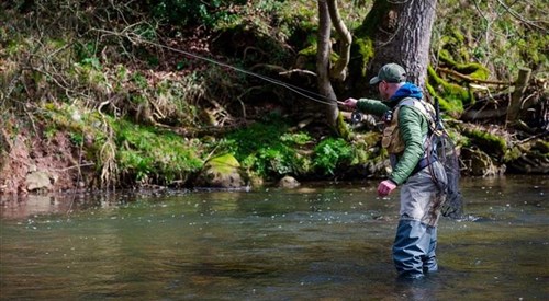 Brampton Angling Association, Eden 2