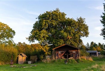Feather Down Manor Farm photo 4