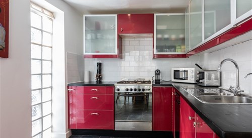 Birch at Ship St Gardens, Brighton 1