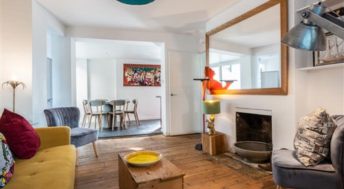 Birch at Ship St Gardens, Brighton 3