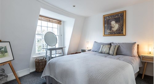 Birch at Ship St Gardens, Brighton 4