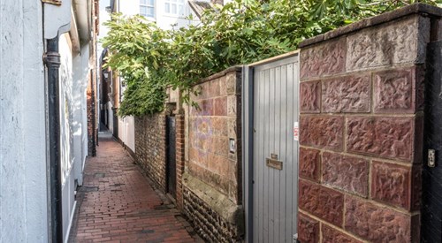 Birch at Ship St Gardens, Brighton