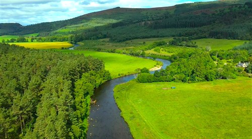 Mains of Tilliefoure, Don 1