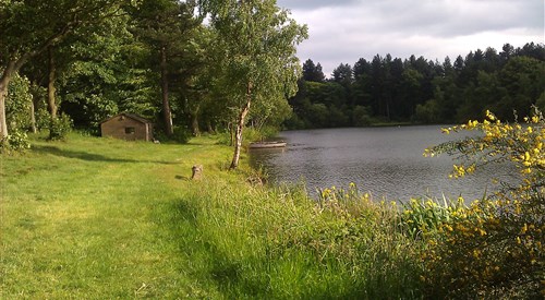 Wharncliffe Fly Fishery, Reservoir