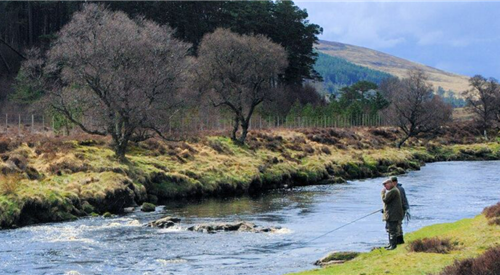 Helmsdale - Suisgill Estate, Far North 1