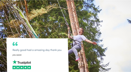 Go Ape Whinlatter Forest, Keswick 4