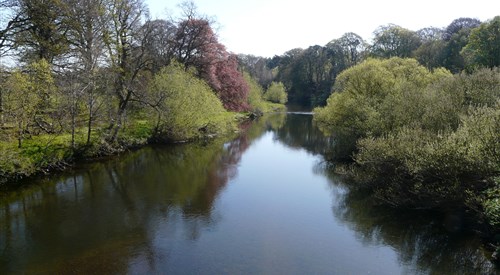 Monteviot, Teviot