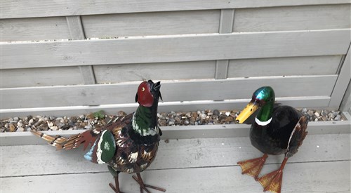 Old Thatch Bambers Green, Takeley 2