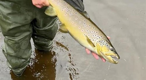 Blackwater Valley Fishery - Blackstone, Upper Blackwater 4