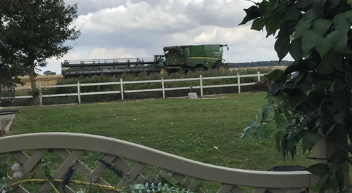 Old Thatch Bambers Green, Takeley 1