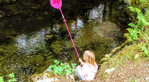 The Countryman Hotel, Camelford 2