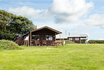 Feather Down Treganhoe Farm photo 3