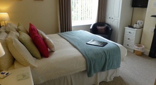 Bryn Derwen Guest House, Conwy County 2