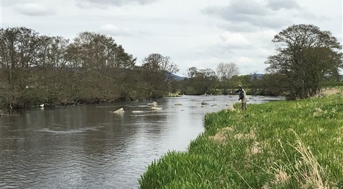 South Waterside, Don 4