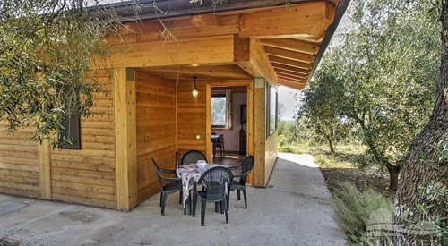 Fattoria Biologica L'Uliveto, San Carlo (CE) 4