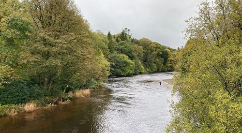 Hoddom, Annan