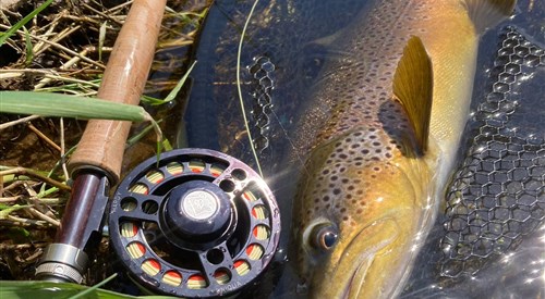 Stanley Trout & Grayling Fishing, Tay