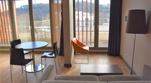 Adonis Lyon Dock Ouest, Lyon 1