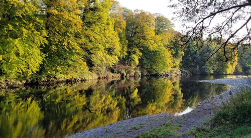 Friars Carse, Nith 4
