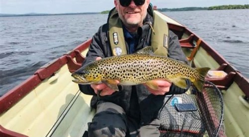 Gerry Teggart Guiding, Sheelin 4