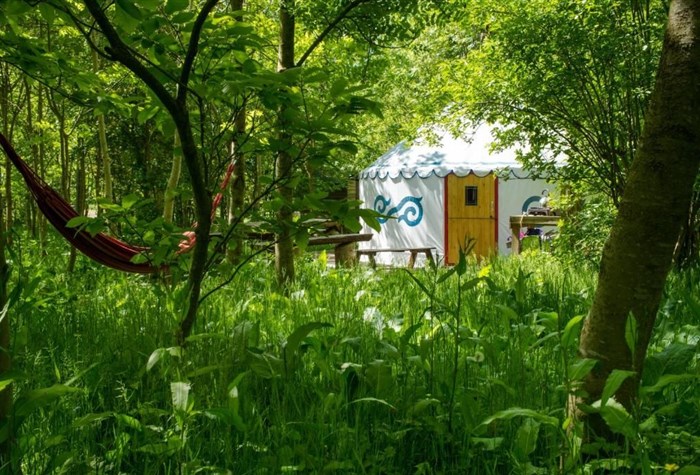 Plush Tents Yurt Village photo 5