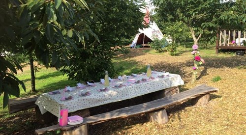 Plush Tents Yurt Village, Chichester 4