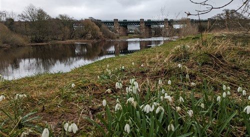 Gallery, North Esk 2