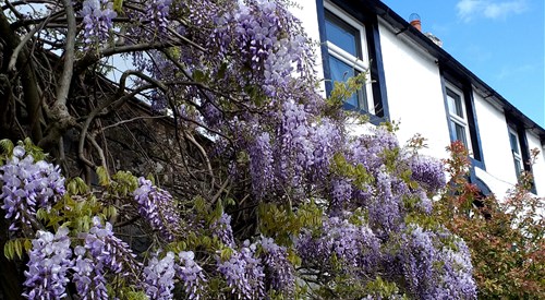 The White House Guest House, Askham 1