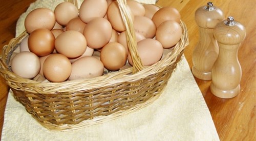 Bradridge Farm B&B, Boyton, Launceston 3