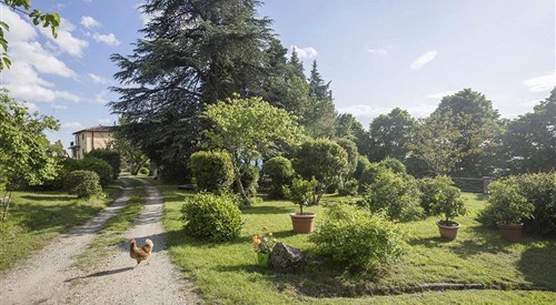 Casa Cares, Reggello, Florence 4