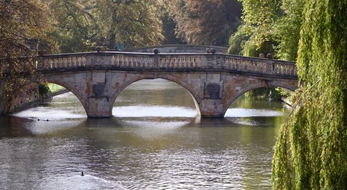 Lets Go Punting, Cambridge 4