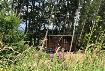 Alexander House Glamping photo 2