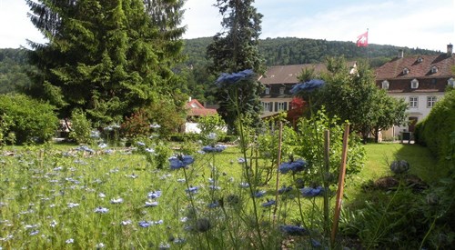Maison Chappuis, Soyhières 1