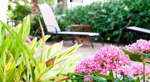 Desoto Beach Garden Suites, Tybee 1