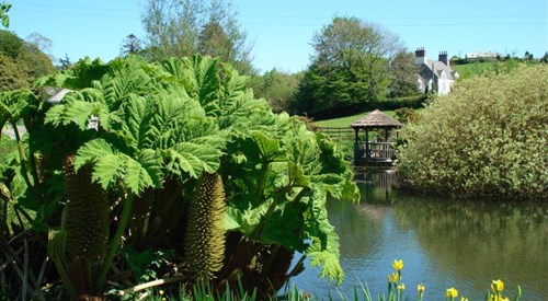 Mount Tavy Cottage B&B, Tavistock 4